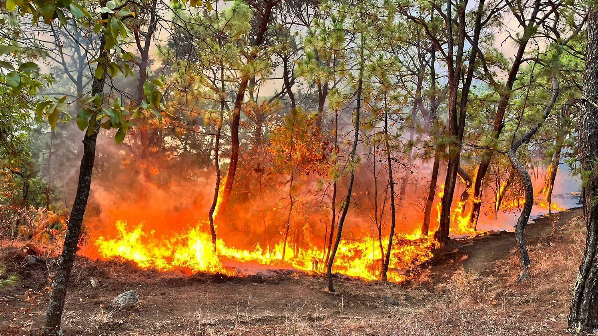 Incendio en tocumbo